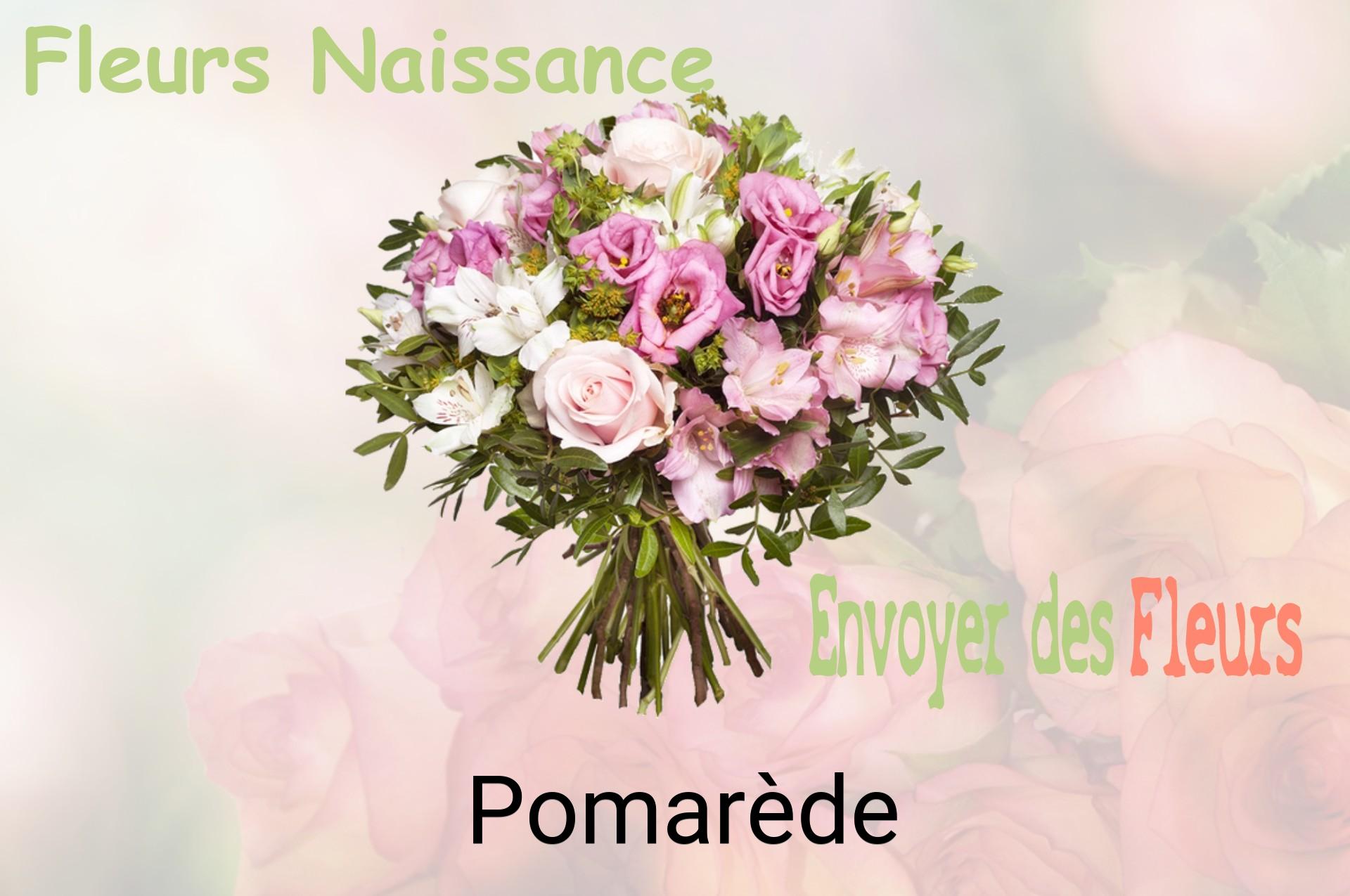 Bouquet de fleurs de naissance livré à Pomarède